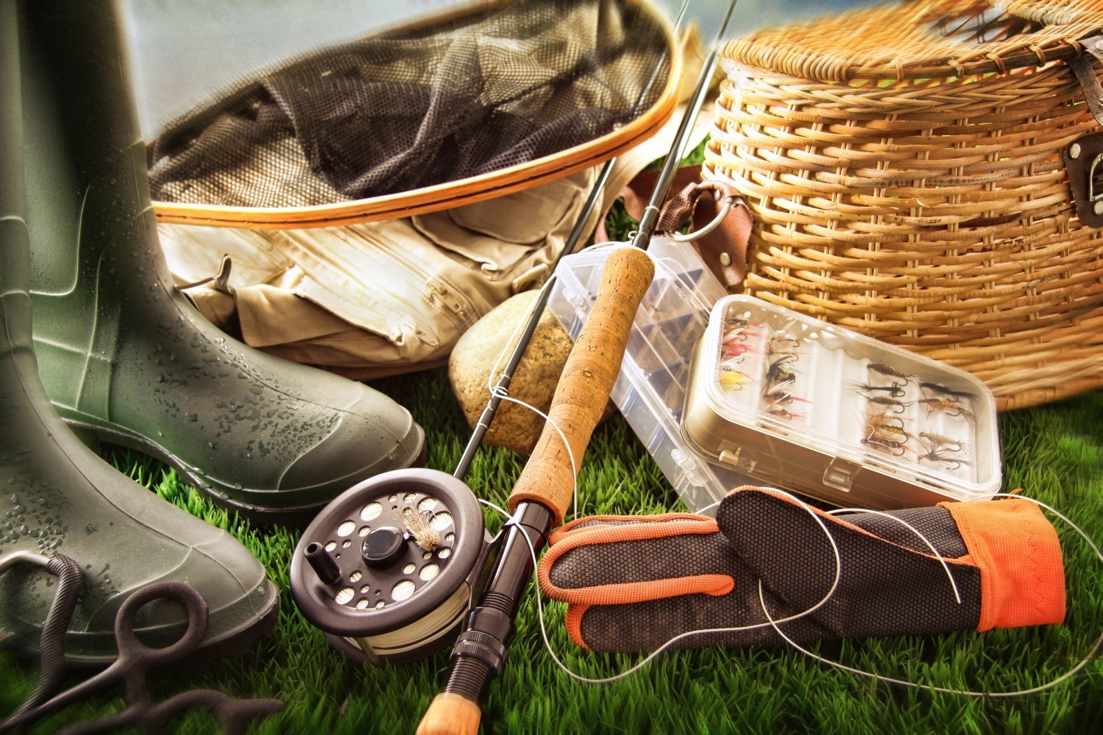 Discover Hookdom: Your Premier Partner in Shore Fishing Equipment